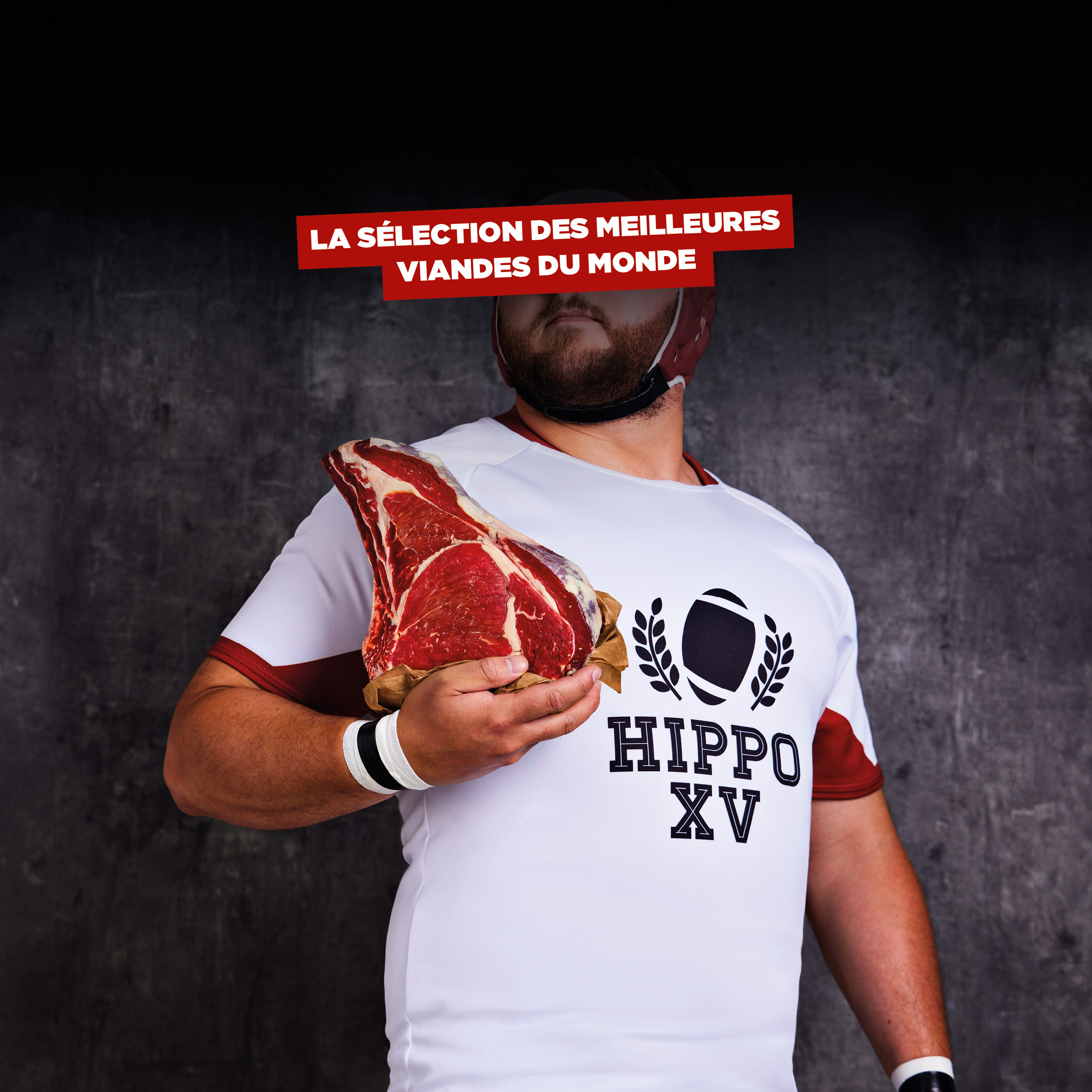 HIPPO FAIT SON XV