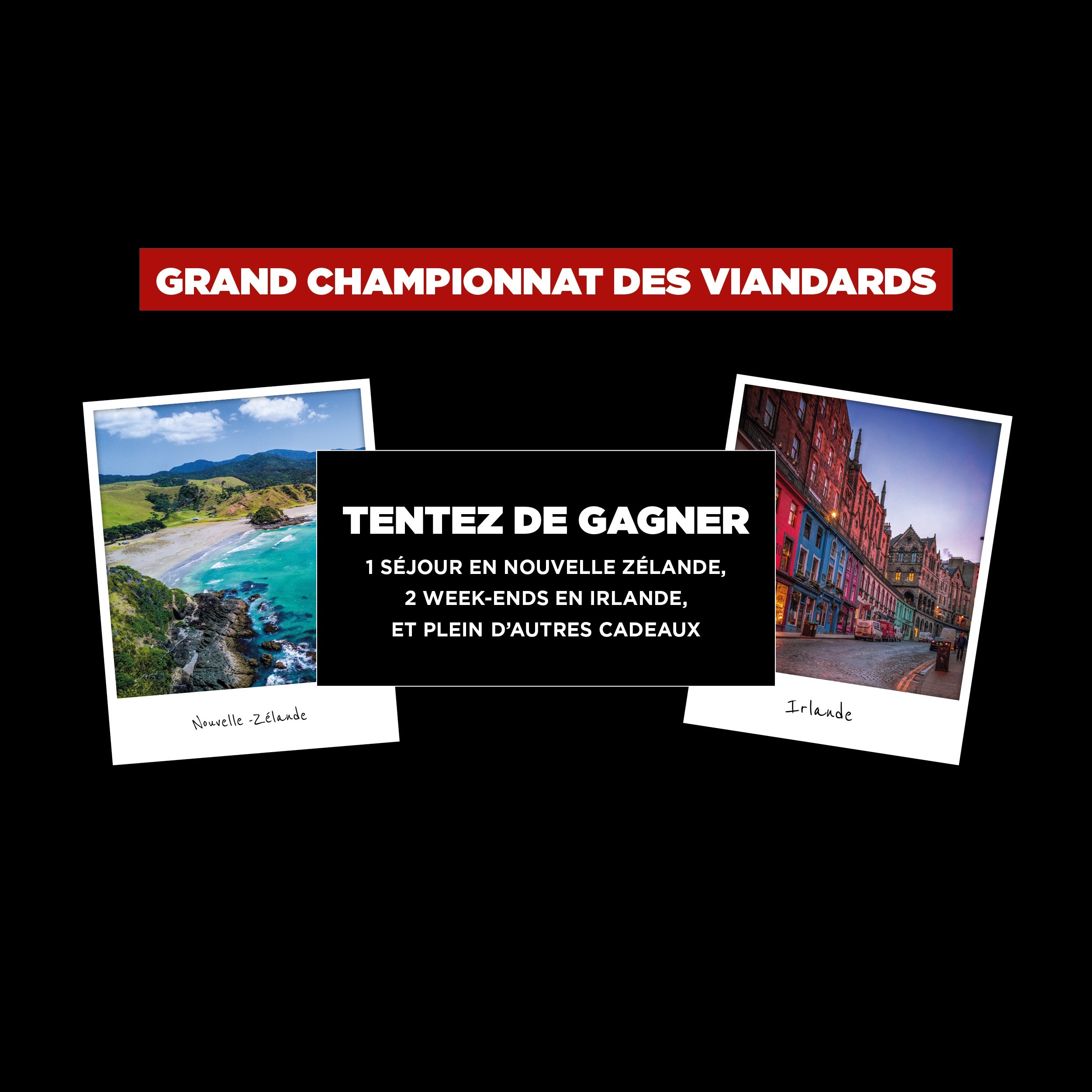 JEU CONCOURS INSTAGRAM HIPPOPOTAMUS