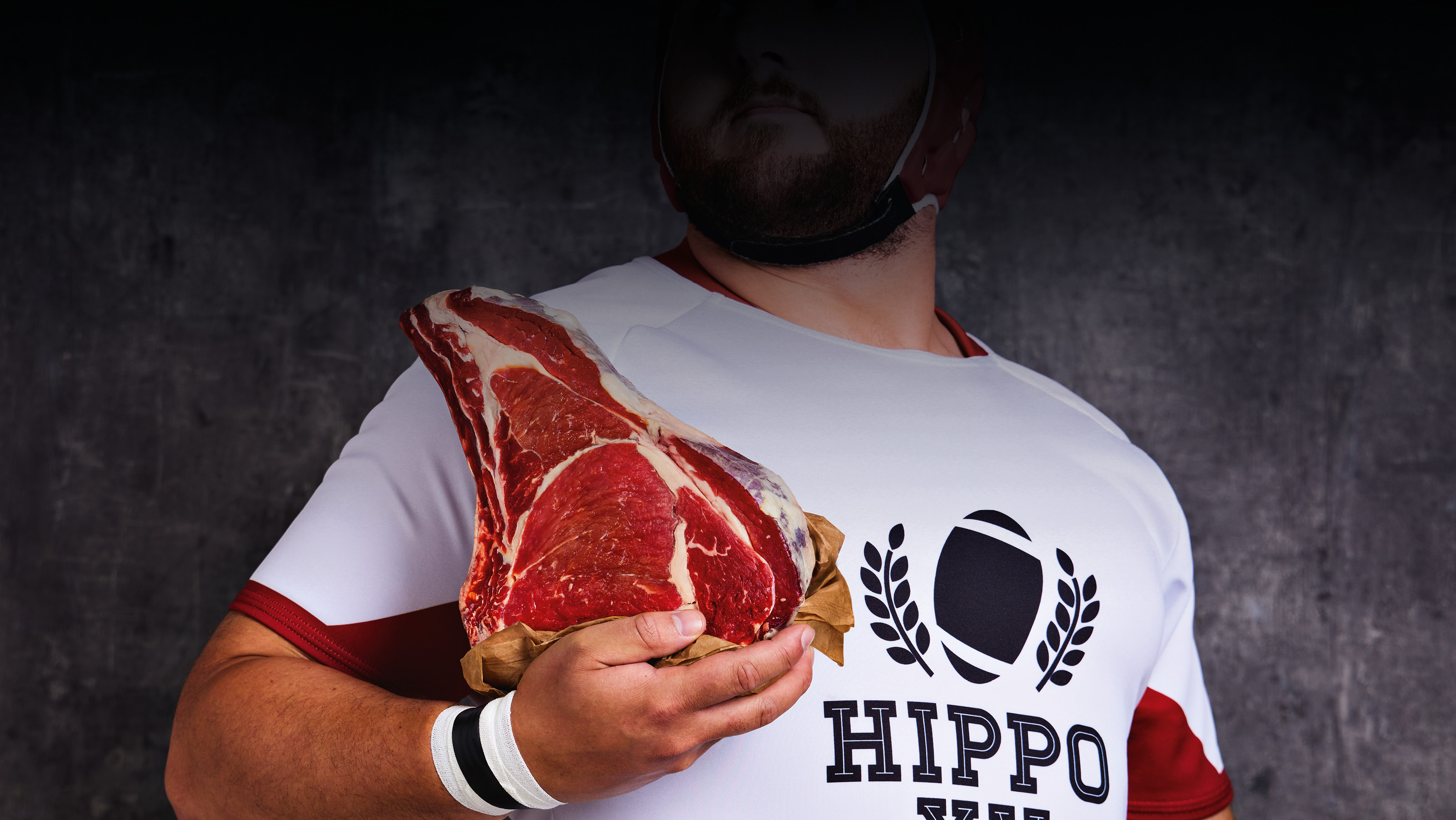 HIPPO FAIT SON XV